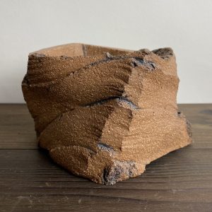 Canyon Cactus Pot 10