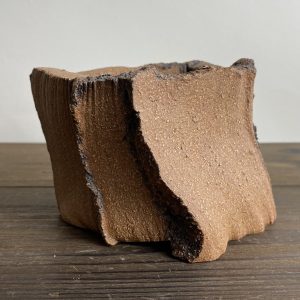 Canyon Cactus Pot 11